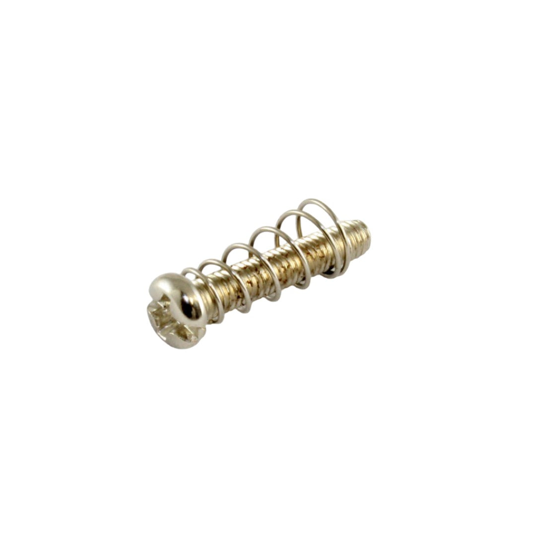 nickel screw with a spring around it