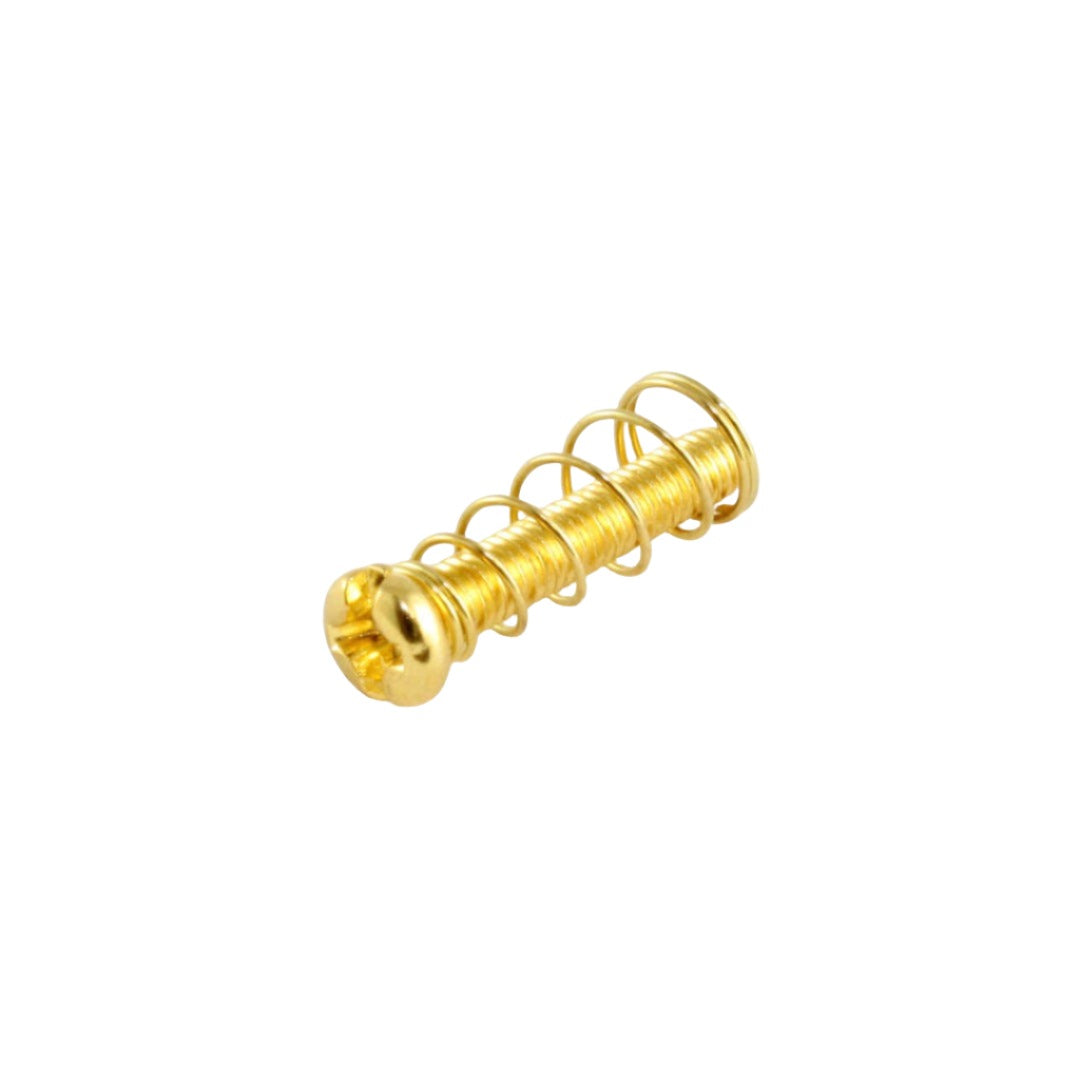 gold screw with a spring around it