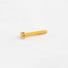 GS-5453 Humbucker Pole Piece Screws - Gold