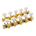 2 rows of fancy gold tuning keys with cream colored knobs