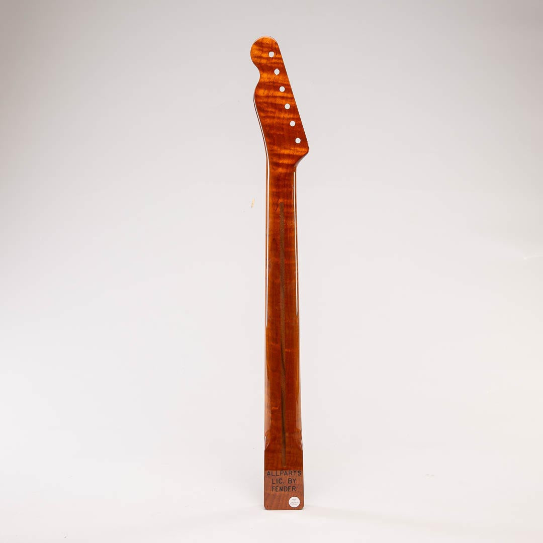 roasted flame maple tele neck back view