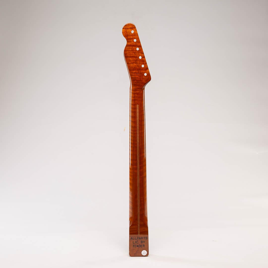 roasted flame maple tele neck back view