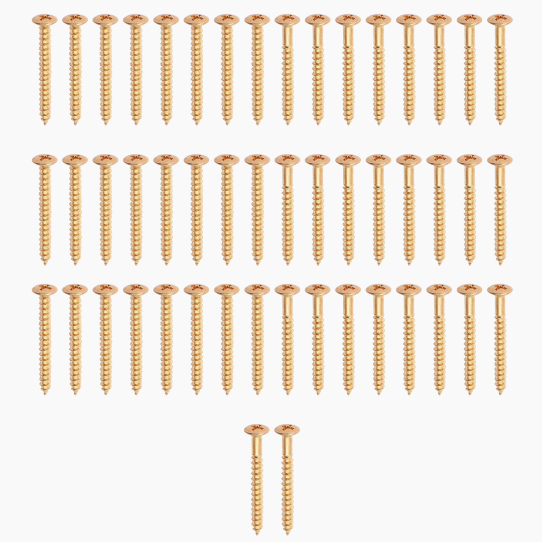 50 gold neckplate screws