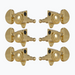 6 gold locking tuners