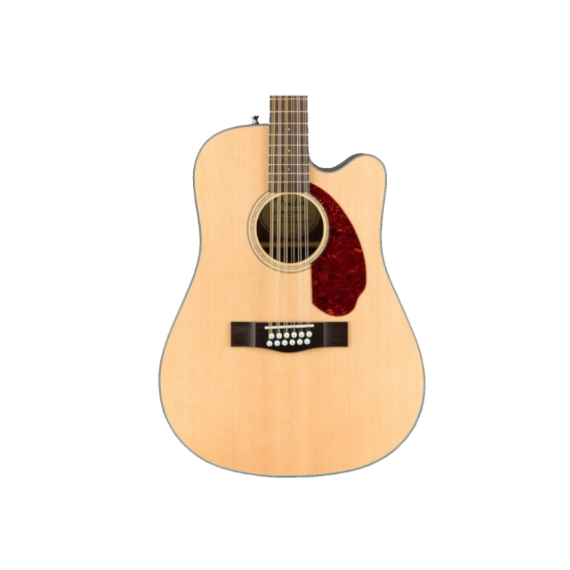 12 String Acoustic