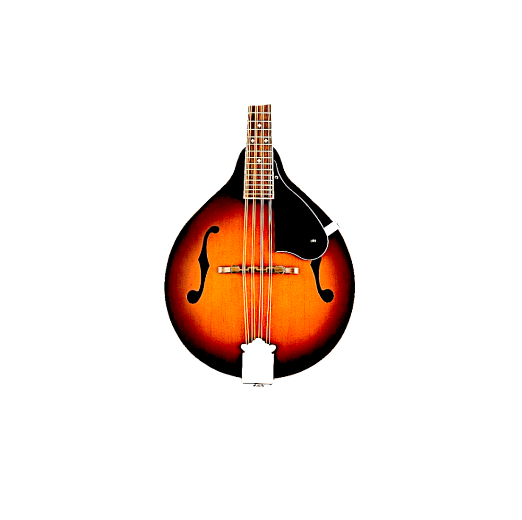 Mandolin Parts and Accessories