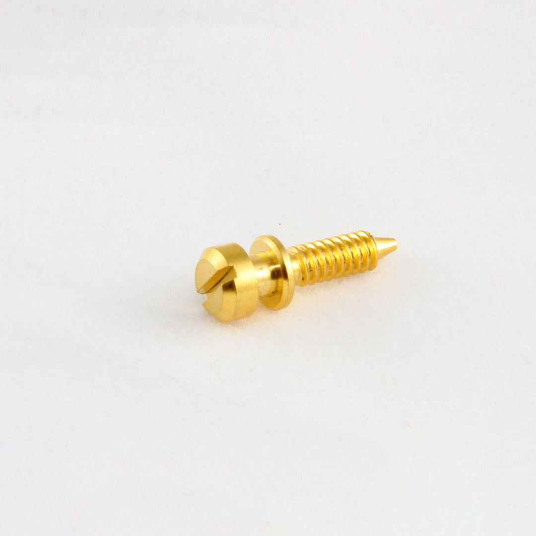 GS-3370 Intonation Screws for Old-style Tunematic