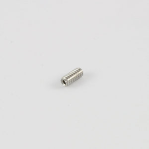 Allparts Stainless Bridge Height Screws for Telecaster