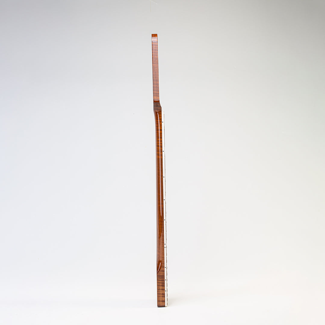 neck bass side view