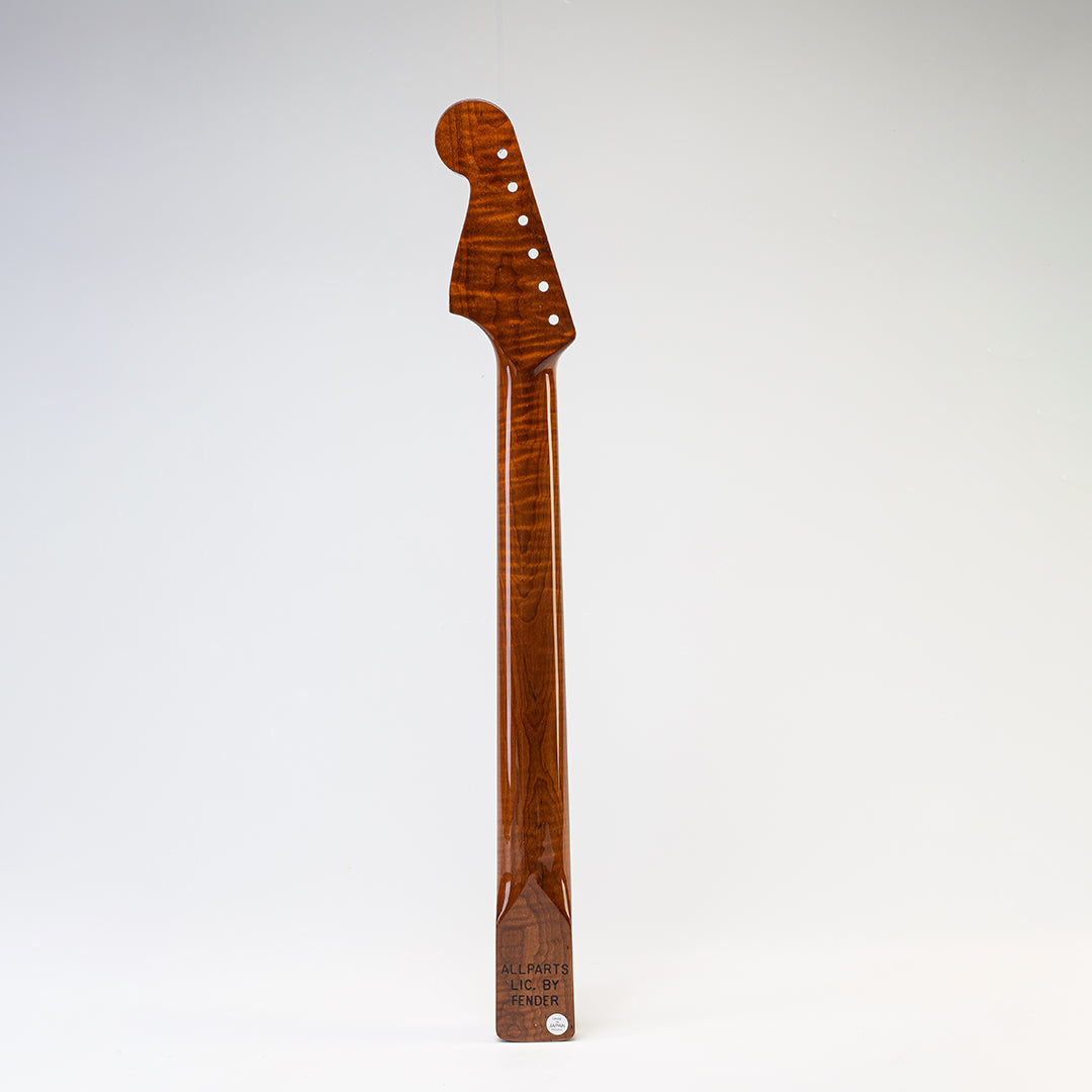 neck back view