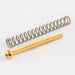 gold screw and spring