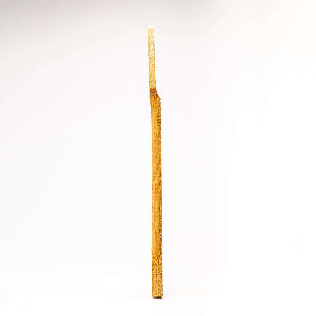 neck bass side view