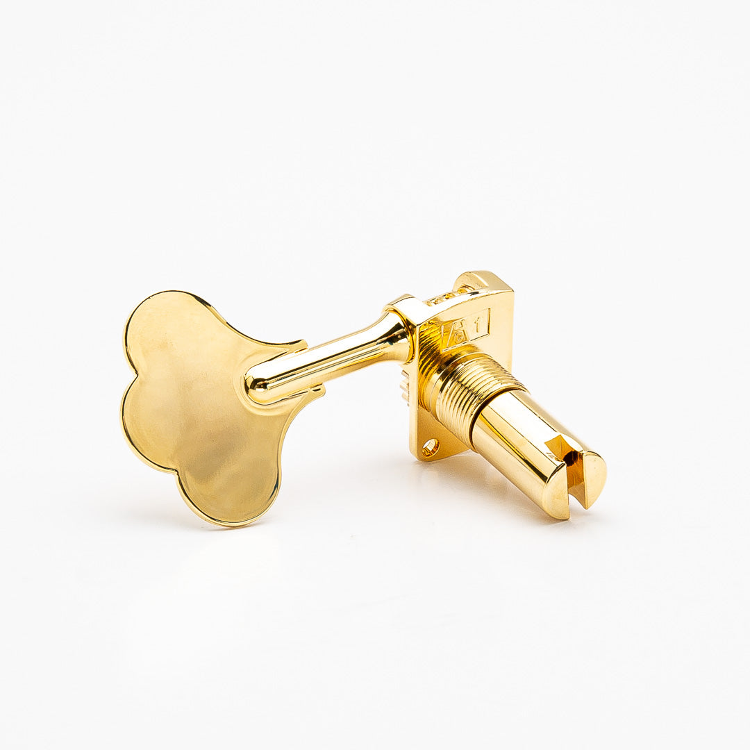 one bass key back view gold