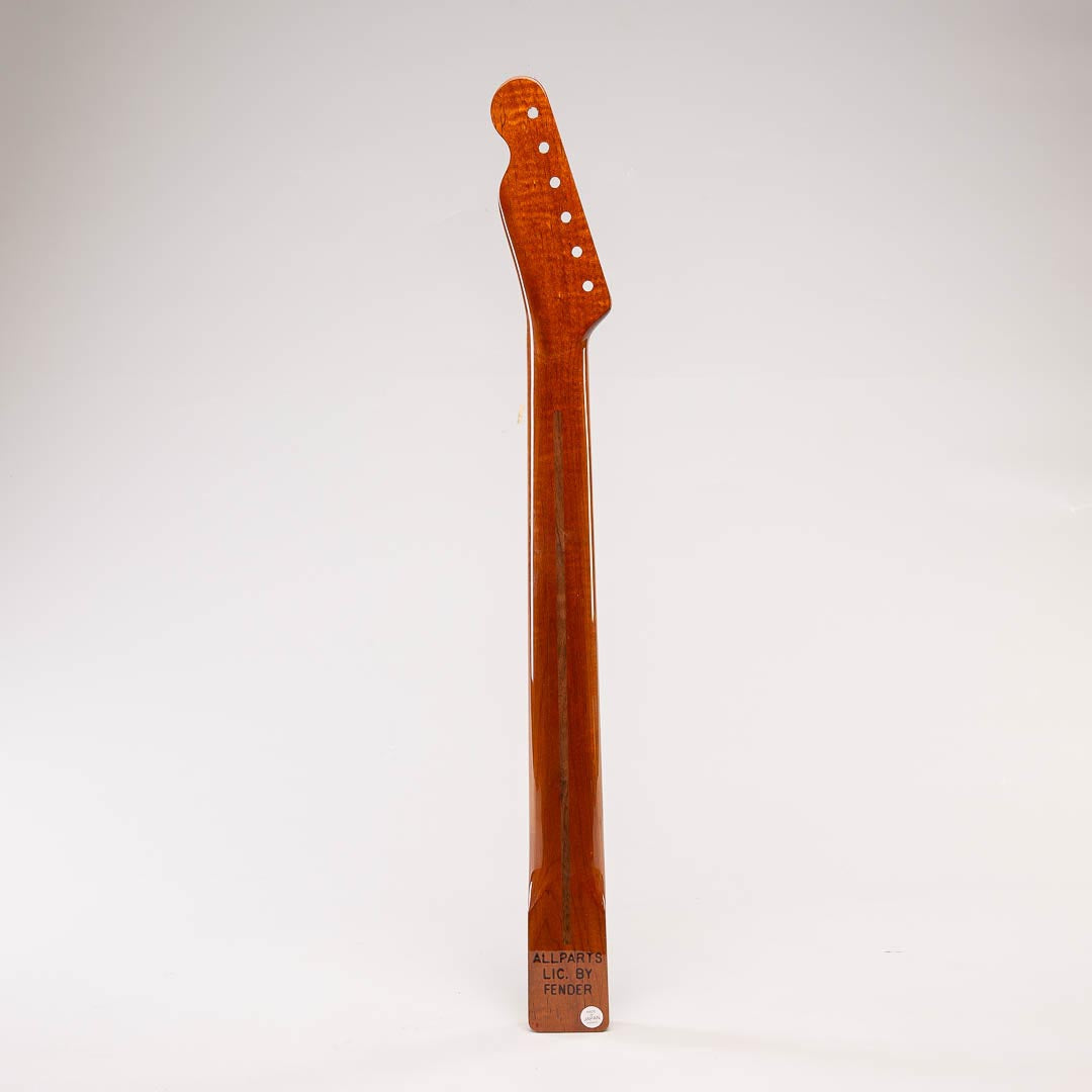 roasted maple tele neck back view