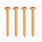 4 gold neckplate screws