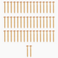 50 gold neckplate screws