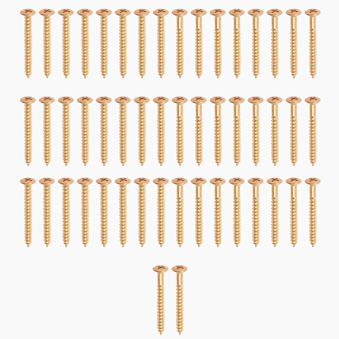 GS-0005 Neckplate Screws