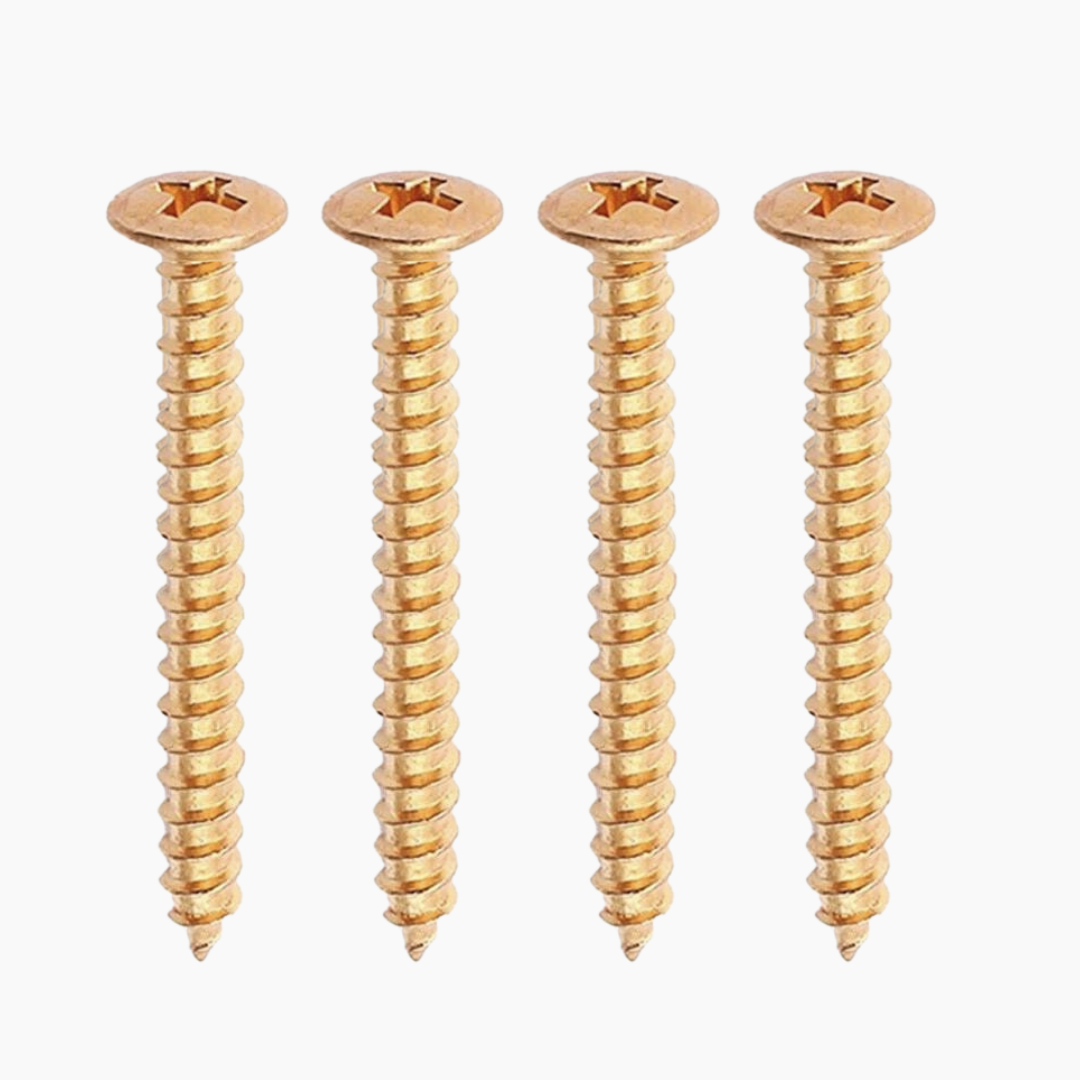 GS-0005 Neckplate Screws