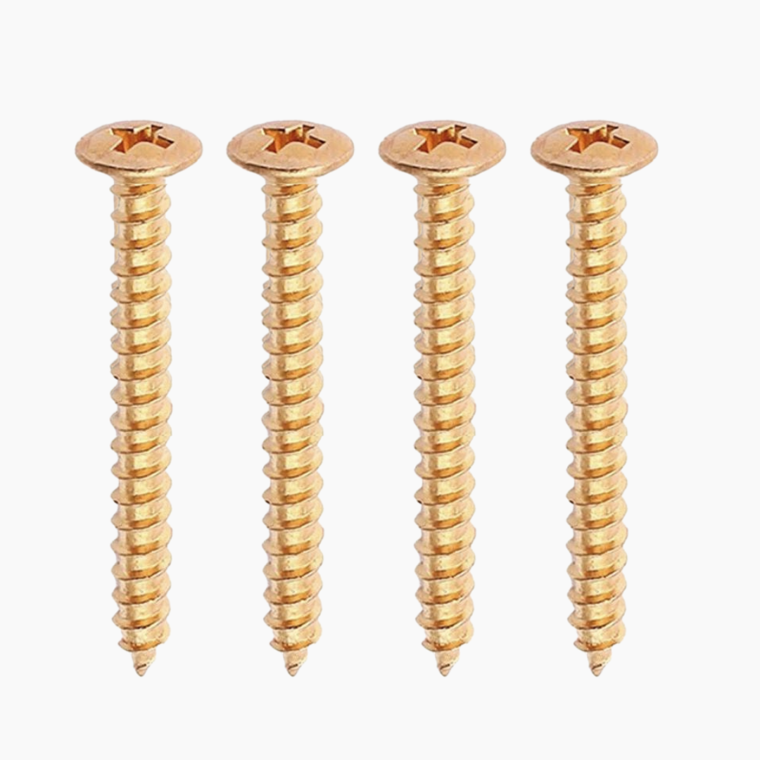 4 gold neckplate screws