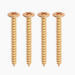 4 gold neckplate screws