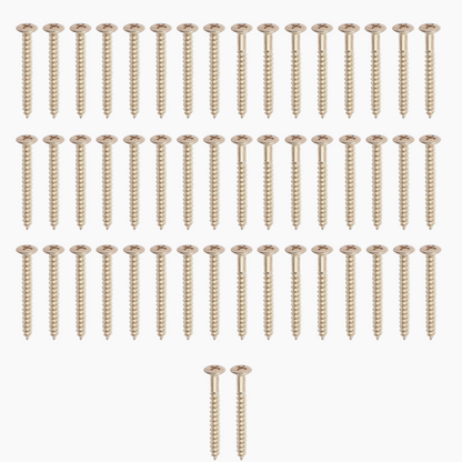 Many nickel neckplate screws