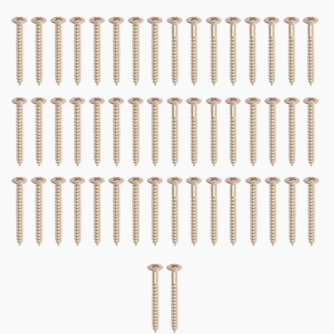 Many nickel neckplate screws