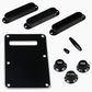Accessory Kit for Strat