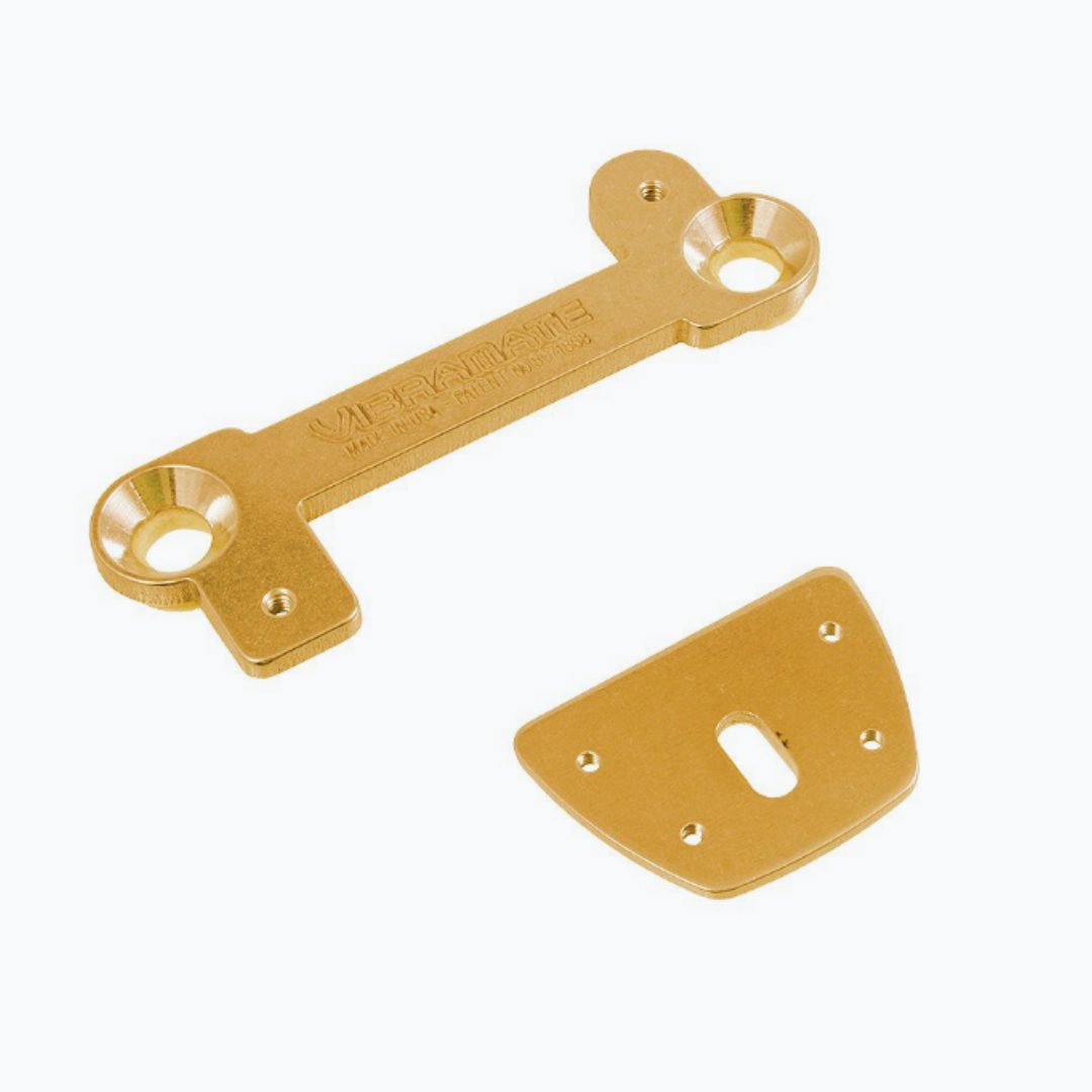 mounting plate and tailpiece plate gold
